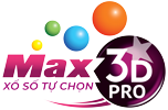 Max 3D Pro